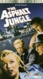 the_asphalt_jungle_photo.jpg