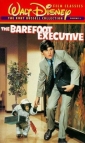 the_barefoot_executive_image.jpg