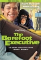 the_barefoot_executive_photo.jpg