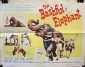 the_bashful_elephant_picture.jpg