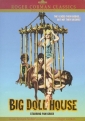 the_big_doll_house_image.jpg