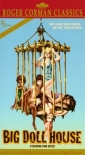 the_big_doll_house_photo.jpg