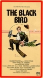 the_black_bird_photo.jpg