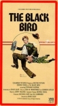 the_black_bird_pic.jpg