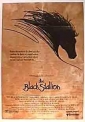 the_black_stallion_image.jpg