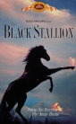 the_black_stallion_image1.jpg