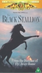 the_black_stallion_img.jpg