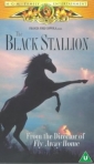 the_black_stallion_pic.jpg