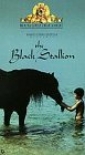 the_black_stallion_picture1.jpg