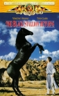 the_black_stallion_returns_image.jpg