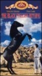 the_black_stallion_returns_picture1.jpg