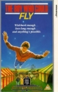 the_boy_who_could_fly_image1.jpg