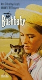 the_bushbaby_image.jpg