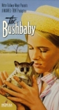 the_bushbaby_picture.jpg