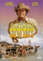 the_castaway_cowboy_image.jpg