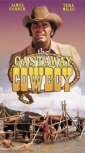 the_castaway_cowboy_image1.jpg