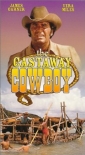 the_castaway_cowboy_photo.jpg