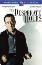 the_desperate_hours_photo.jpg