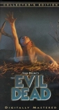 the_evil_dead_img.jpg