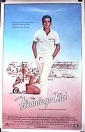 the_flamingo_kid_picture.jpg