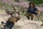 the_forbidden_kingdom_picture1.jpg