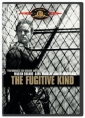 the_fugitive_kind_photo.jpg