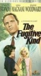 the_fugitive_kind_picture.jpg
