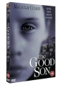 the_good_son_image1.jpg