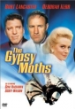 the_gypsy_moths_photo.jpg