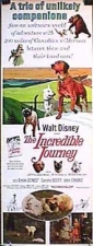 the_incredible_journey_picture.jpg