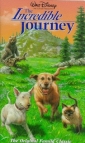 the_incredible_journey_picture1.jpg