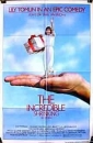 the_incredible_shrinking_woman_image.jpg