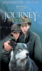 the_journey_of_natty_gann_image.jpg
