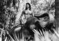 the_jungle_book_picture.jpg