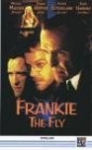 the_last_days_of_frankie_the_fly_img.jpg