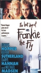 the_last_days_of_frankie_the_fly_picture1.jpg