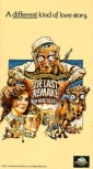 the_last_remake_of_beau_geste_image.jpg
