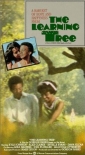 the_learning_tree_image.jpg