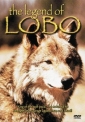 the_legend_of_lobo_picture1.jpg