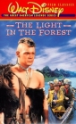the_light_in_the_forest_picture.jpg