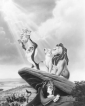 the_lion_king_img.jpg