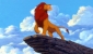 the_lion_king_picture.jpg