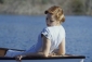 the_notebook_picture1.jpg