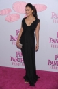 the_pink_panther_2_image.jpg