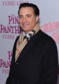 the_pink_panther_2_img.jpg