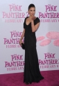 the_pink_panther_2_picture.jpg