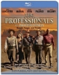 the_professionals_image.jpg
