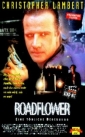 the_road_killers_image.jpg