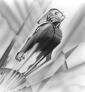 the_rocketeer_picture.jpg