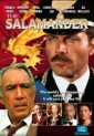 the_salamander_picture.jpg